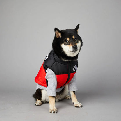The Dog Face Pufferjacke